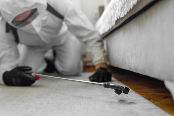 Professional Wasp Control technician working in Mason City, IA