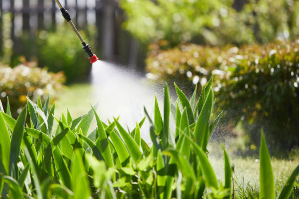 24/7 Emergency Termite Control experts in Mason City, IA