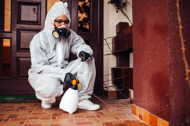 Reliable Termite Control contractor in Mason City, IA by Nex Pest Control