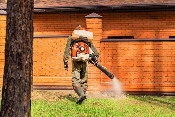 Trusted Emergency Pest Control service in Mason City, IA - Nex Pest Control
